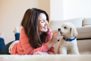 I Tried to Buy a Fake Puppy Online and Here’s What Happened