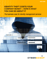 white paper: Cybersecurity 101 for CEOs