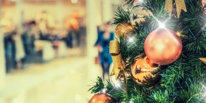 5 Ways to Protect Yourself When Holiday Shopping