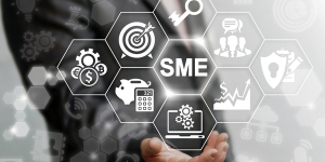 Mitigating Cyber Risk for SMBs