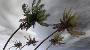 Protecting Your Identity During Hurricane, Wildfire Seasons